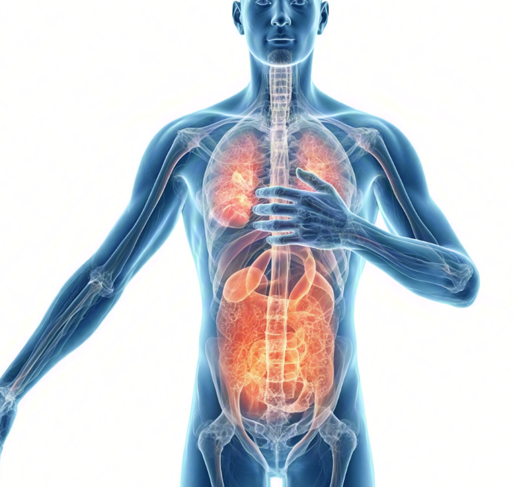 人体的气是什么