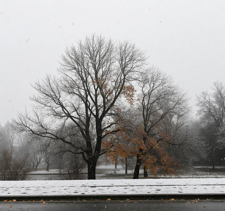 寒冬预警：应对“闪冻”与气象风险的居家健康指南